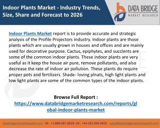 Indoor Plants Market