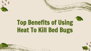 Top Benefits of Using Heat To Kill Bed Bugs