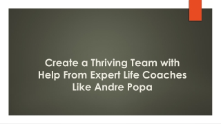 Create a Thriving Team with Help From Expert Life Coaches Like Andre Popa