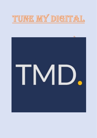 Can Paid Marketing Services Benefit Small Businesses? Tune My Digital