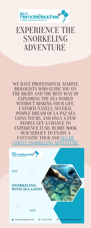 Experience the snorkeling adventure