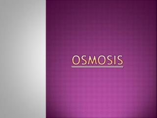 Osmosis