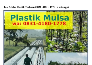 Jual Mulsa Plastik Terbaru O8౩l·ㄐl8O·lᜪᜪ8{WA}