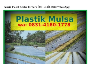 Pabrik Plastik Mulsa Terbaru Ô8౩I~ᏎI8Ô~Iᜪᜪ8[WA]