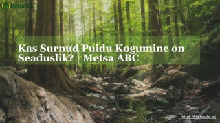Kas Surnud Puidu Kogumine on Seaduslik? | Metsa ABC