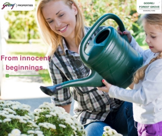 Godrej Forest Grove brings you nature-friendly places for your Residencies.
