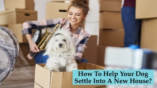How To Help Your Dog Settle Into A New House