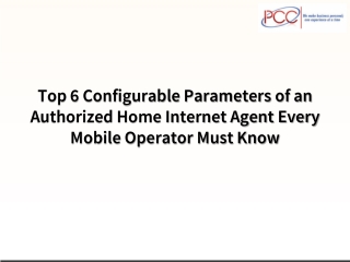 Top 6 Configurable Parameters of an Authorized Home Internet Agent Every Mobile Operator Must Know