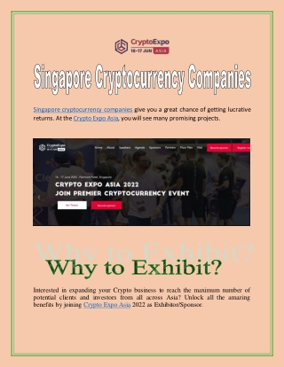 Singapore Cryptocurrency Companies