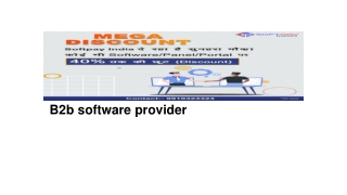 B2b software provider