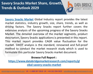 Savory Snacks Market Size, Trends, Growth Rate, Insights, Business Opportunities