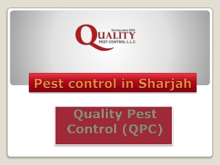 Pest control in Sharjah