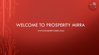 Acquire molela wall tile at Prosperity Mirra