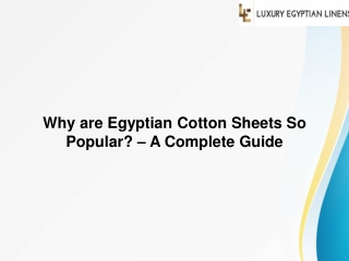 Why are Egyptian Cotton Sheets So Popular – A Complete Guide