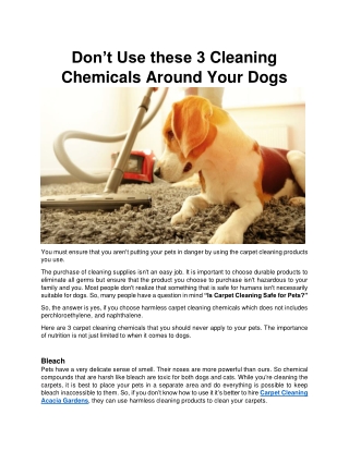 Don’t Use these 3 Cleaning Products Around Your Dogs