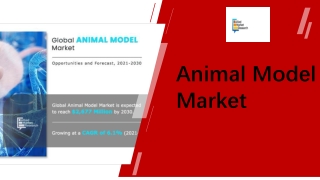 Animal Model Market Growth PPT