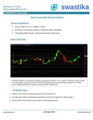 Commodity daily levels (11-Feb.)