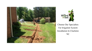 CHOOSE OUR SPECIALISTS FOR IRRIGATION SYSTEM INSTALLATION IN CHARLOTTE NC