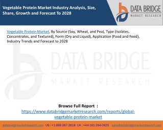 Vegetable Protein Market Industry Analysis, Size, Share, Growth and Forecast To 2028