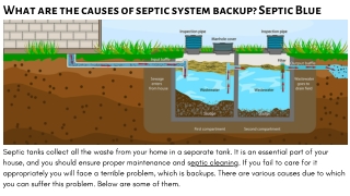 What are the causes of septic system backup Septic Blue