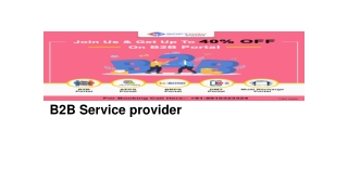 B2B Service provider