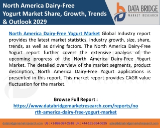 North america dairy free yogurt market Growth