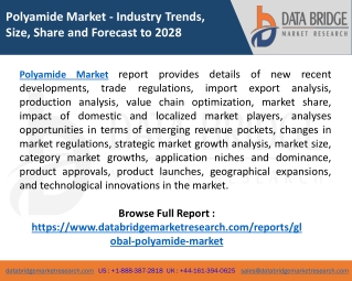 Global Polyamide Market