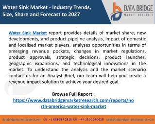 North America Water Sink Market