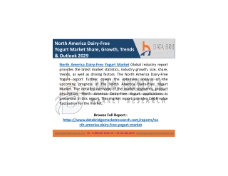 North America Dairy-Free Yogurt Market Global Type, Application, Trends, Share