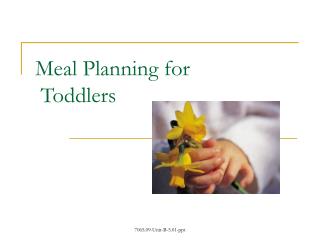 Meal Planning for Toddlers