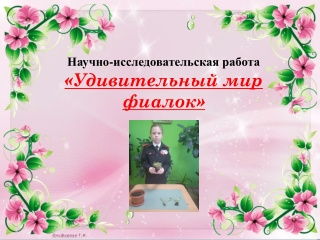 фиалка