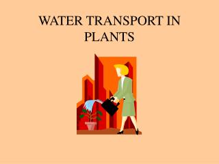 WATER TRANSPORT IN PLANTS