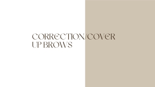 CorrectionCover Up Brows PPT