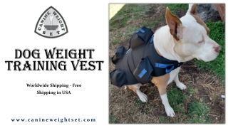 Dog Weight Training Vest