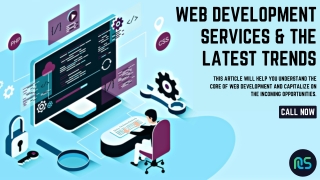 Professional Offshore Web Developers For Your Online Business