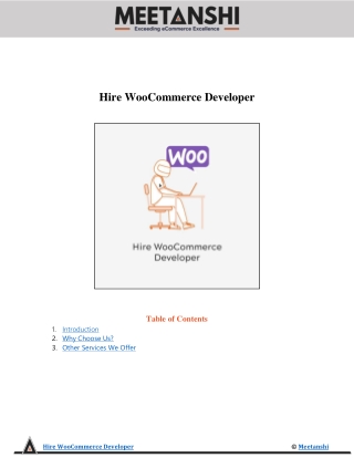 Hire WooCommerce Developer