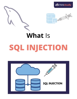 What is SQL Injection