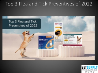 Top 3 Flea and Tick Preventives of 2022 - VetSupply