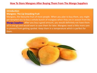 How To Store Mangoes After Buying Them From The Mango Suppliers