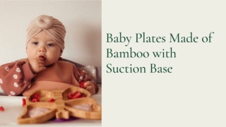 Baby Plates Made of Bamboo with Suction Base