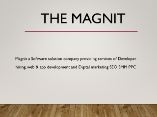 Custom Website & Mobile App development Company | Magnit