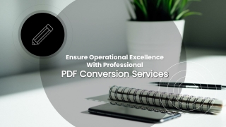Ensure Operational Excellence with Professional PDF Conversion Services