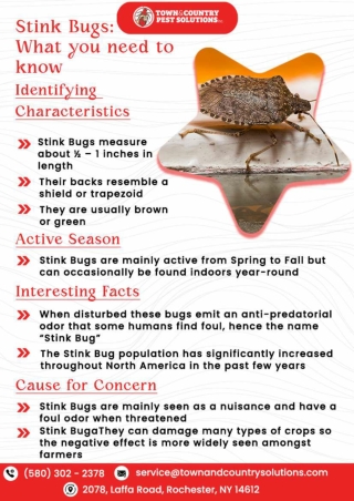 Syracuse Wildlife Control Bedbug inspection Rochester