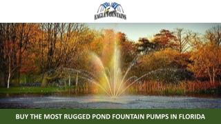 Buy the Most Rugged Pond Fountain Pumps in Florida