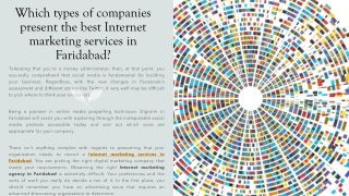 Which types of companies present the best Internet marketing services in Faridabad​