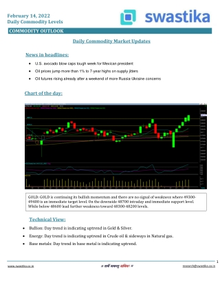Commodity daily levels (14-Feb.)