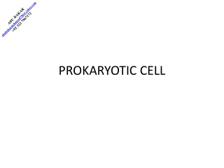 PROKARYOTIC CELL