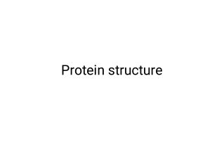 Protein structure