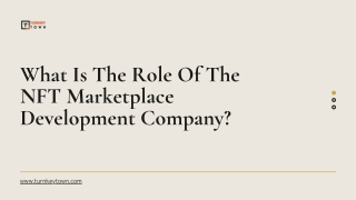 What Is The Role Of The NFT Marketplace Development Company?