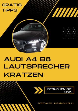 Lautsprecher kratzen im Audi A4 B8 Problem einfach losen